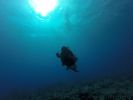 Hawaii Scuba divng 39