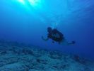 Hawaii Scuba divng 40