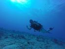 Hawaii Scuba divng 41