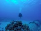 Hawaii Scuba divng 42