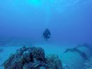 Hawaii Scuba divng 43