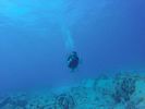 Hawaii Scuba divng 44