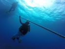 Hawaii Scuba divng 04