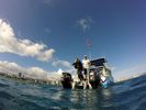 Hawaii Scuba divng 51