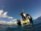 Hawaii Scuba divng 53