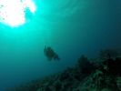 Hawaii Scuba divng 65