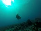 Hawaii Scuba divng 66