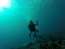 Hawaii Scuba divng 69