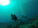 Hawaii Scuba divng 72