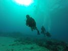 Hawaii Scuba divng 74