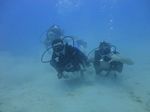 Hawaii Scuba divng 12