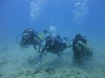 Hawaii Scuba divng 13