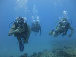 Hawaii Scuba divng 15