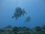 Hawaii Scuba divng 16