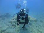 Hawaii Scuba divng 18