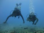 Hawaii Scuba divng 19