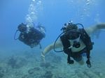 Hawaii Scuba divng 23