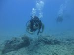 Hawaii Scuba divng 25