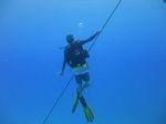 Hawaii Scuba divng 39