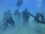 Hawaii Scuba divng 40