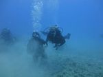 Hawaii Scuba divng 41