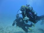 Hawaii Scuba divng 43