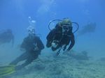 Hawaii Scuba divng 44