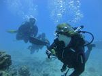 Hawaii Scuba divng 45