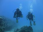 Hawaii Scuba divng 46