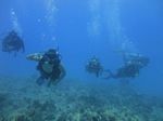 Hawaii Scuba divng 49