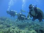 Hawaii Scuba divng 51