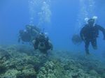 Hawaii Scuba divng 51