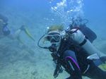 Hawaii Scuba divng 53