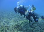 Hawaii Scuba divng 59