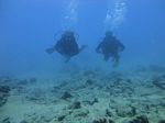 Hawaii Scuba divng 62