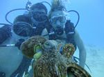 Hawaii Scuba divng 68