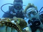 Hawaii Scuba divng 70