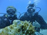 Hawaii Scuba divng 71