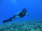 Hawaii Scuba divng 10