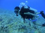 Hawaii Scuba divng 11