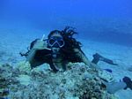 Hawaii Scuba divng 17