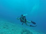 Hawaii Scuba divng 01