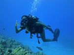 Hawaii Scuba divng 20