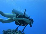 Hawaii Scuba divng 24