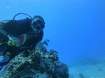 Hawaii Scuba divng 25