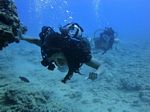 Hawaii Scuba divng 28