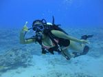 Hawaii Scuba divng 29