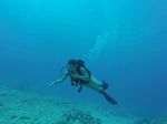 Hawaii Scuba divng 02