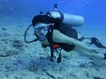 Hawaii Scuba divng 34