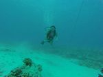 Hawaii Scuba divng 03